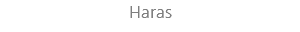 Haras