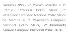 Faceiro CASS - 2º Prêmio Marcha e 1º Prêmio Categoria Potro Maior. 2º Reservado Campeão Nacional Potro Maior de Marcha e 1º Reservado Campeão Nacional Potro Maior, 2º Reservado Grande Campeão Nacional Potro 2020